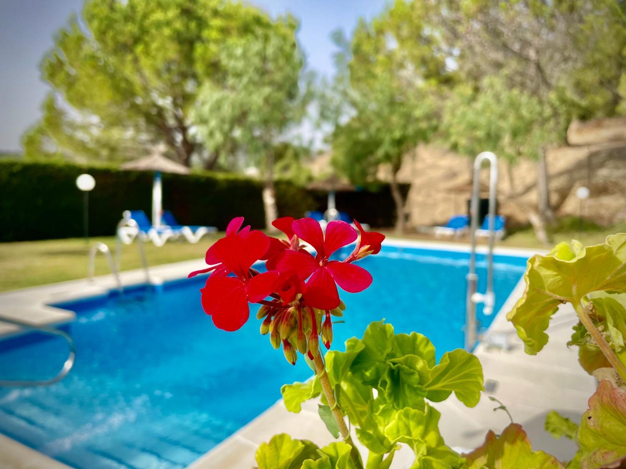 ألغار Hotel Tugasa Villa De Algar المظهر الخارجي الصورة